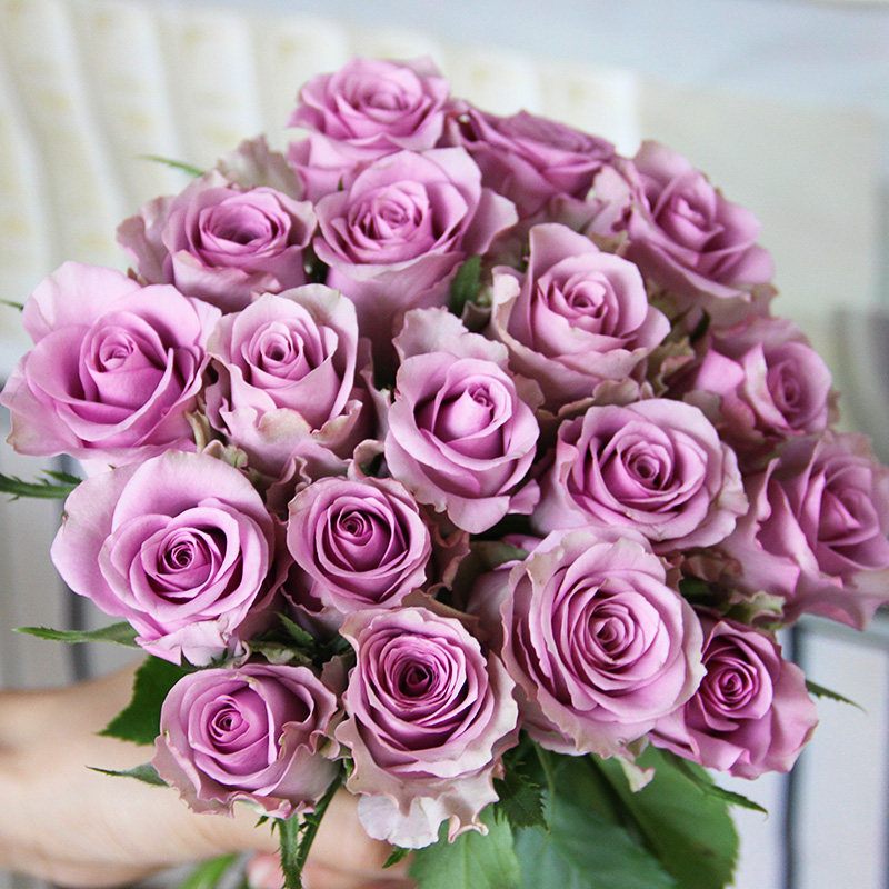 紫色玫瑰花云南昆明斗南基地直发水养百合鲜切花花束教师节