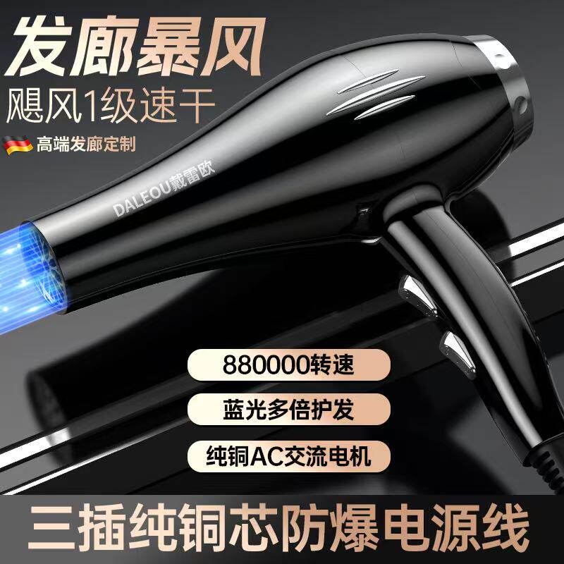 【AC强风力】德系戴雷欧大功率电吹风机发廊理发店护发速干吹风筒