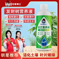 Доктор цветочный цветок