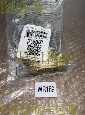 原装供应RWV 1/2 英寸沙发阀 IPS 螺纹移动止回,200 WOG 袋 +