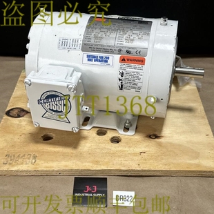 3500 代顿冲洗电机 50Hz 2865RPM .75Hp 1TRZ8 供应 原装