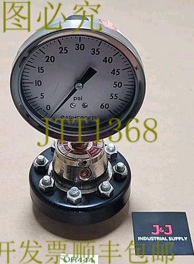 原装供应预先 Ashcroft 类型 100 316L 必要 SL C1215 SIL 填充 6