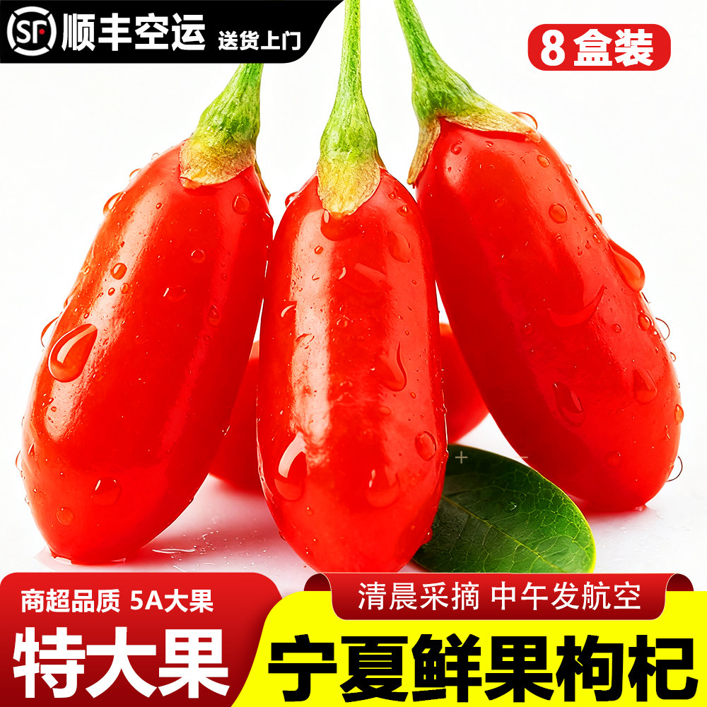大粒头茬枸杞鲜果新鲜现摘即食枸杞子宁夏中宁水果枸杞礼盒500g