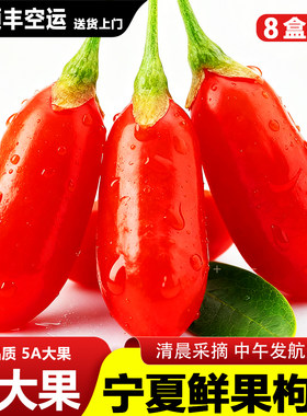 大粒头茬枸杞鲜果新鲜现摘即食枸杞子宁夏中宁水果枸杞礼盒500g