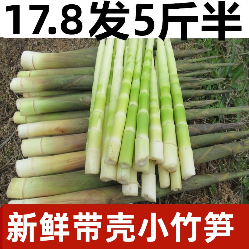 小竹笋新鲜野生江西带壳小春笋非雷笋小笋子水竹笋纯天然山笋甜笋