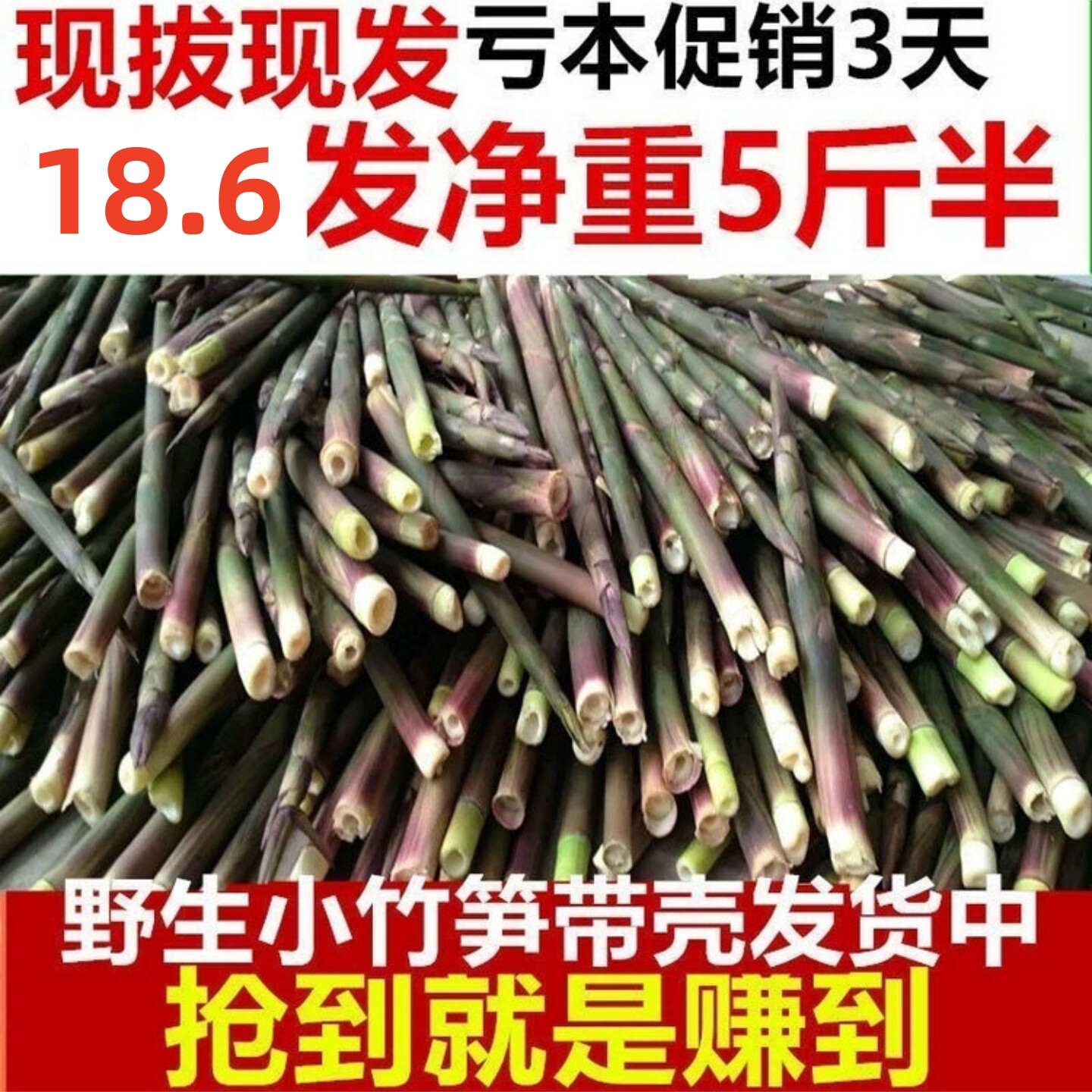 小竹笋新鲜野生江西带壳小春笋非雷笋小笋子水竹笋纯天然山笋甜笋