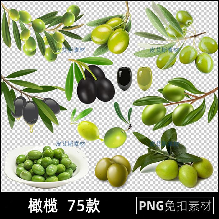 橄榄png免扣图果实绿黑橄榄植物透明背景免抠PS设计素材