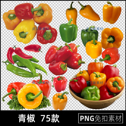 青椒png免扣图圆椒辣椒蔬菜透明背景免抠PS设计素材