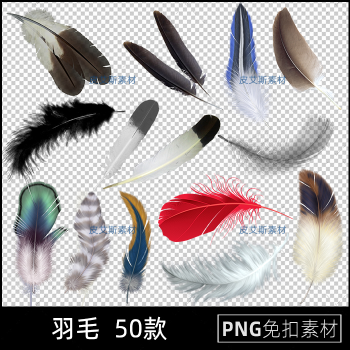 羽毛彩色png免抠绚丽羽毛飘落羽绒鸟羽图片免扣PS设计素材