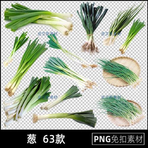 葱png免扣图大葱小葱蔬菜青菜透明背景免抠PS设计素材