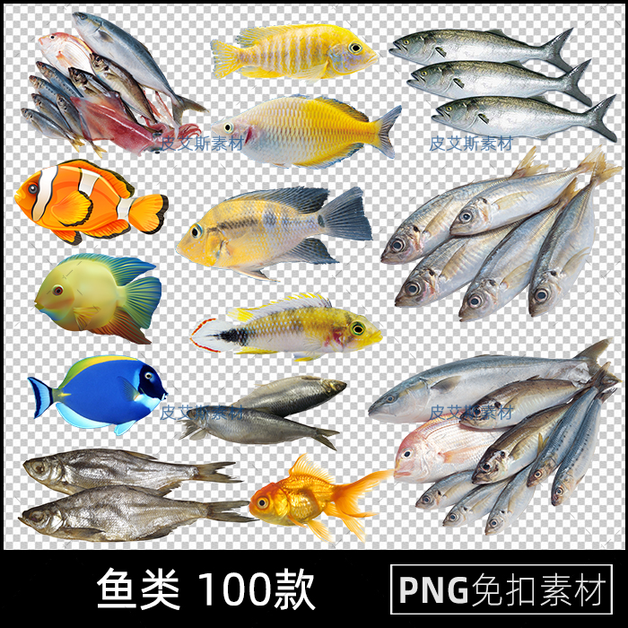png免抠鱼照片实拍海鱼金鱼草鱼卡通图片透明免扣ps设计素材