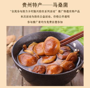 贵州特产马桑菌非香菇珍品有机培育健康食用珍菌炖鸡清炒包邮100g