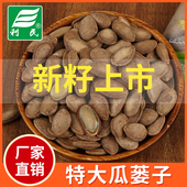 2025年新货瓜蒌子奶油大籽特大颗粒瓜蒌籽吊瓜子原味500g安徽瓜子