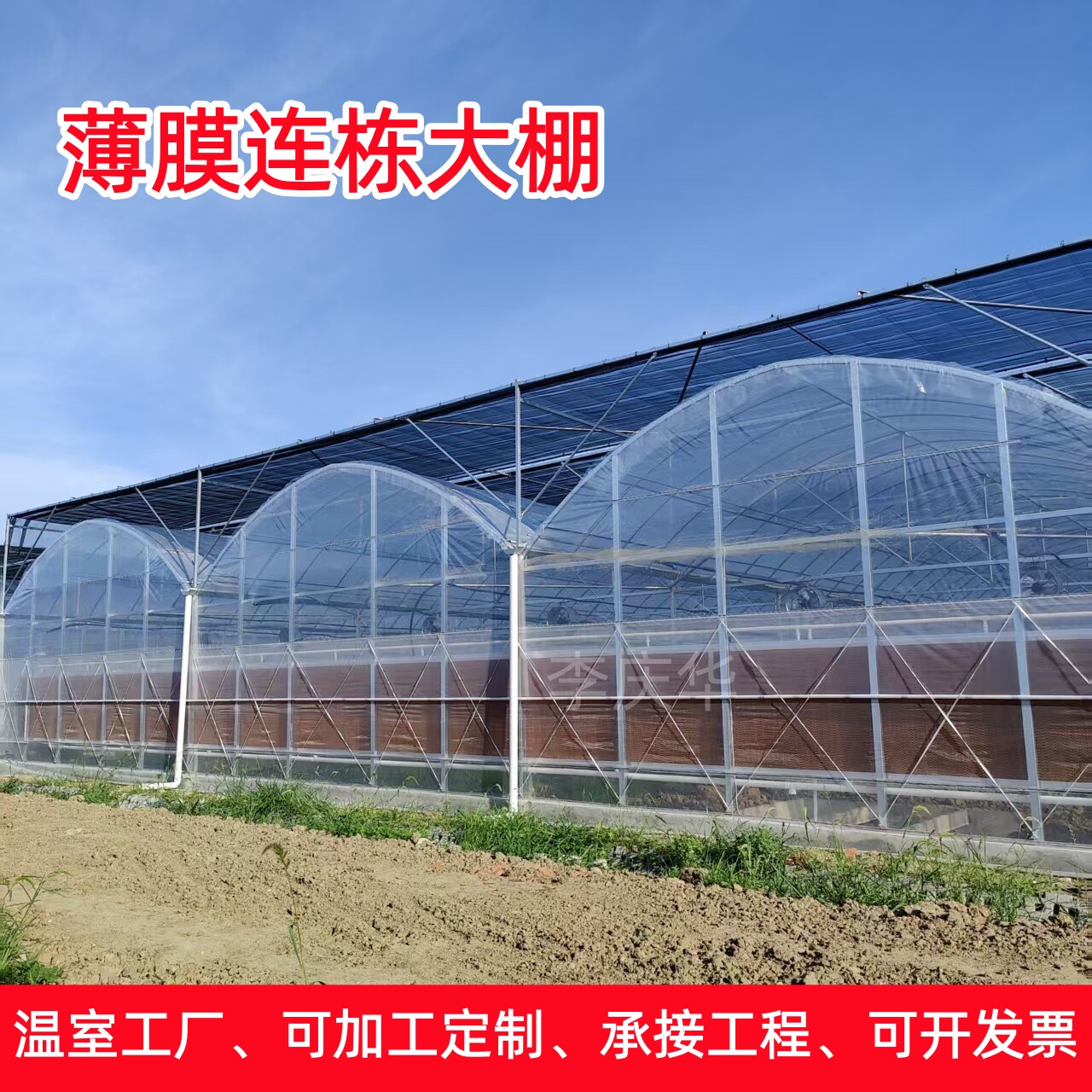 8432风机湿帘遮阳薄膜连栋温温室大棚支架