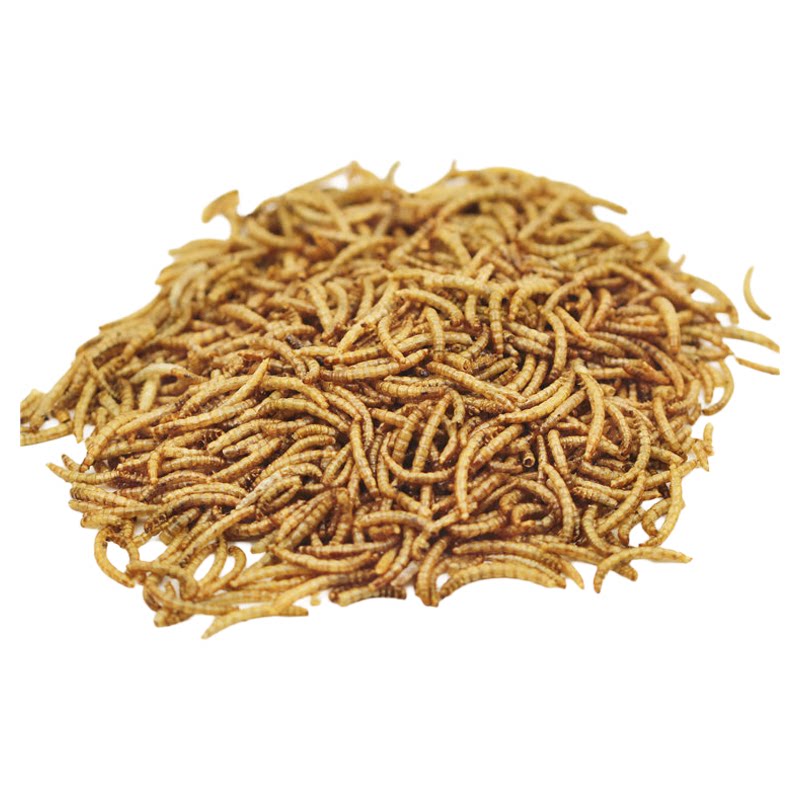 黄粉虫干面包虫干仓鼠粮食刺猬营养食物小龟粮零食鱼食龟粮鸟食