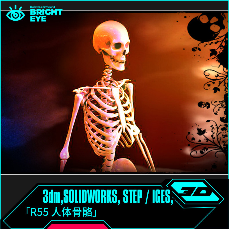rhino犀牛代建模产品设计3d素材模型库3dm工业参数化制作人体骨骼图片