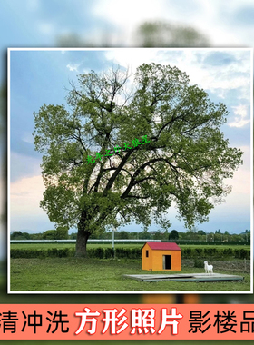 正方形照片冲洗打印来图定制方卡10x10cm晒手机相片音乐专辑12cm