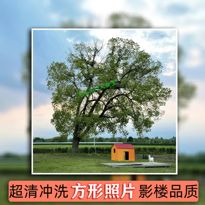 20.3X20.3厘米方形照片打印