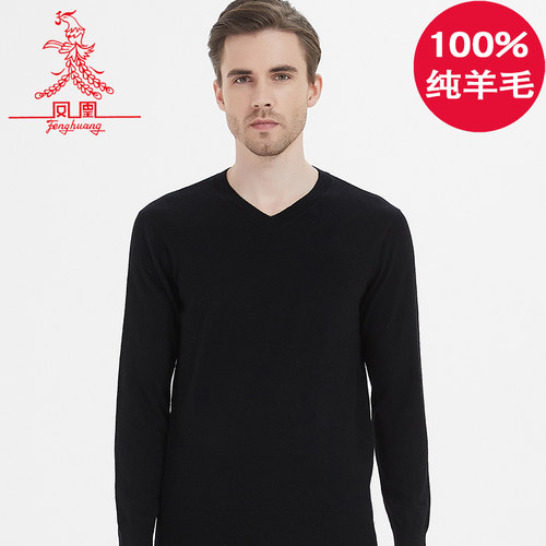 羊毛衫男100纯羊毛秋冬薄款毛衣