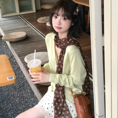 慵懒风棕色波点长条丝巾法式