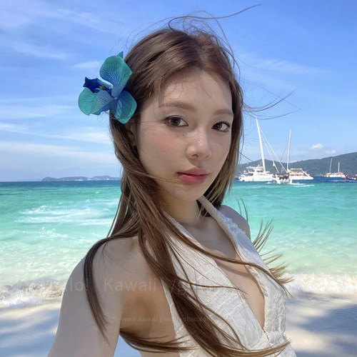 蓝色蝴蝶兰花朵发夹女海边拍照