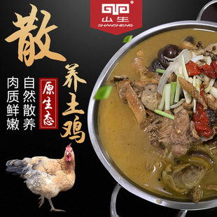 农村正宗散养2年超新鲜土鸡老母鸡纯生态无饲料跑山鸡毛重4.6斤