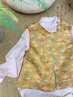 真丝云驹踏瑞宋锦马甲新中式国风盘扣立领马甲女叠穿马夹坎肩上衣