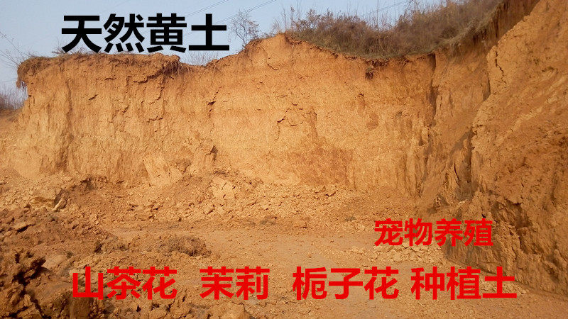 天然黄土黄泥巴盆栽绿植养花土壤种菜用高山黄土泥粘土山泥土黄泥