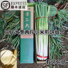 山东大葱卷煎饼3斤大葱2斤小米煎饼组合礼盒佳品高端大气顺丰包邮
