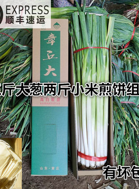 山东大葱卷煎饼3斤2斤礼盒