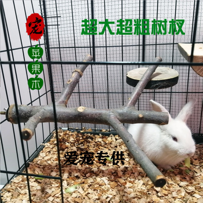 龙猫苹果木树杈爱多多站杆磨牙