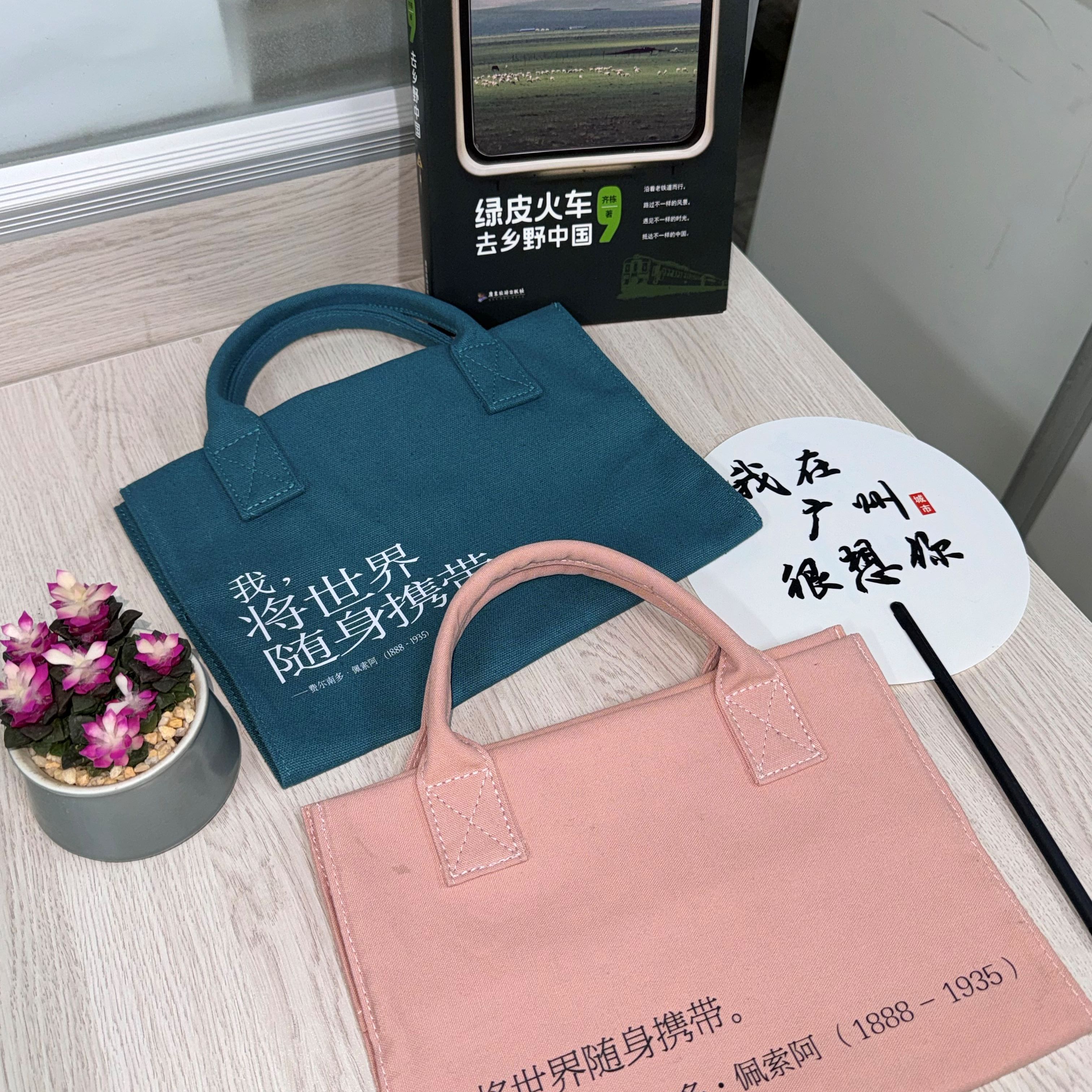 我将世界随身携带手提书衣图片