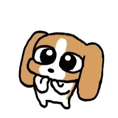 神秘联系方式