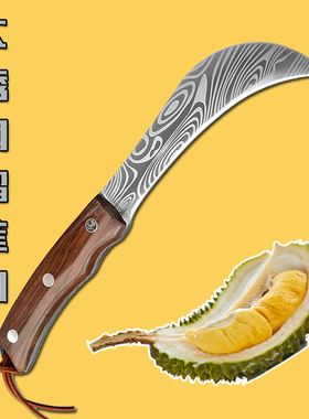 不锈钢大号弯刀户外香蕉弯刀榴莲专用刀割菜大勾刀嫁接勾刀削皮刀