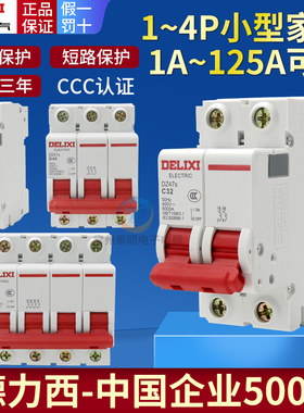 德力西dz47s空气开关1p空开2断路器3家用40保护63a漏电三相闸32安