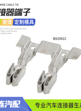 BX2091C汽车连接器镀锡接线鼻子适用大众仪表保险片插座联排端子