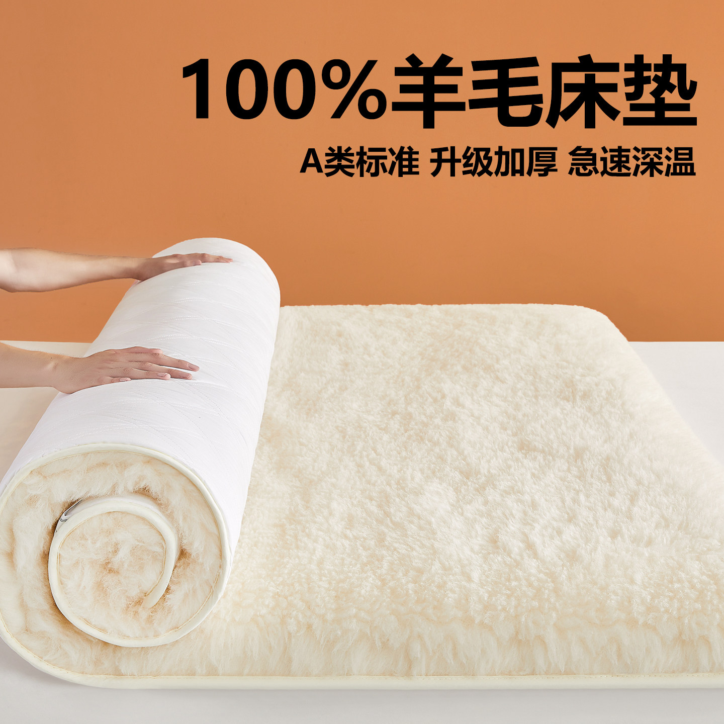 羊毛床垫软垫冬季加厚保暖家用床褥学生宿舍垫被褥单人羊羔绒垫子