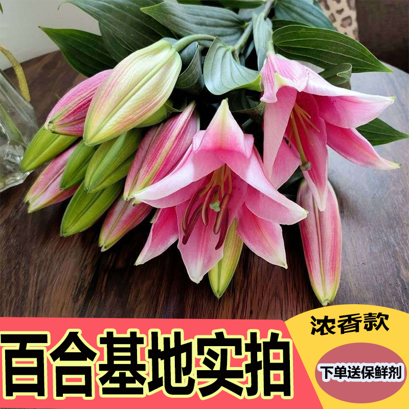 云南昆明基地现采直发香水百合真花鲜花水养插花家用办公同城速运