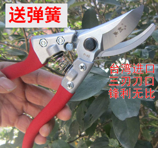 台湾刘盛爱普司园艺剪刀修枝剪花剪树枝剪果树剪树枝园林剪刀工具