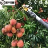 Товары от 快乐baby991