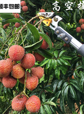 好伸手摘果神器高枝剪树枝剪伸缩摘果剪刀高空摘柿子采摘器摘柚子