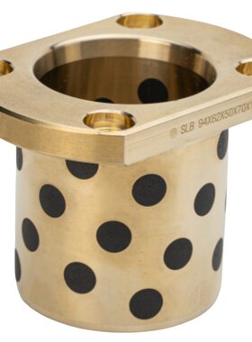 01石墨02无油03衬套OFR04/11/D12D16D10D20D25D30D35L40MPTNZ6-50