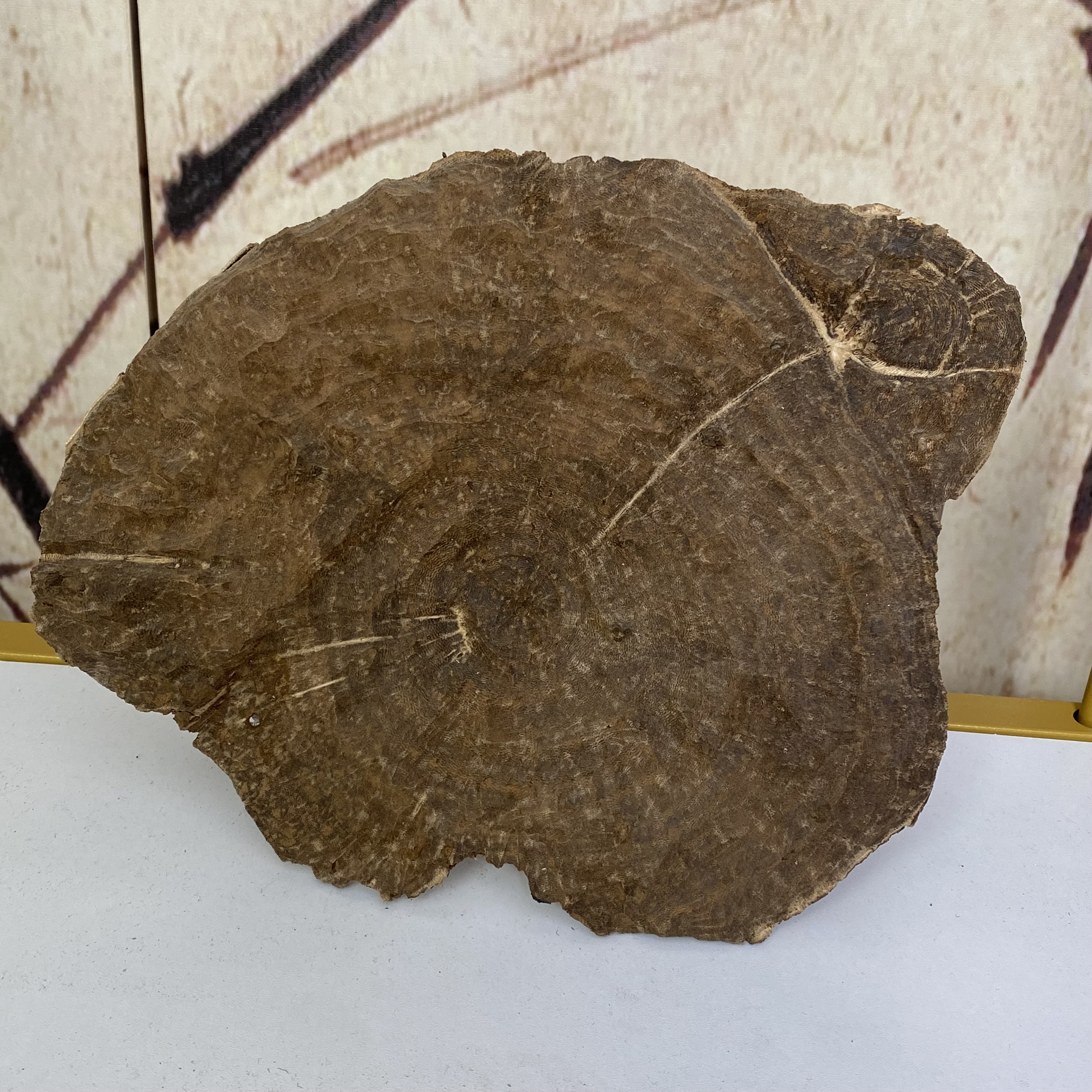 海南沉香老铁头 存放很多年的老香 背面特别老 熏香花香怡人 香甜