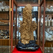 生闻奶香味浓郁 达拉干熟结沉香摆件 并带有花香味 富贵开花