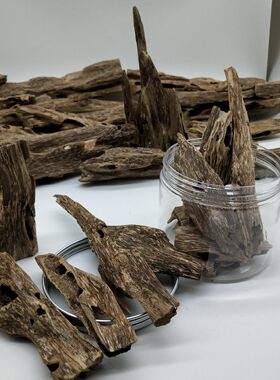 海南虫漏沉香原材摆件半黑虫眼蚁