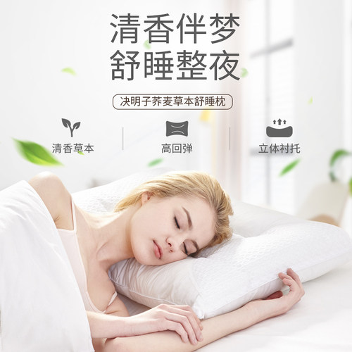 AiSleep睡眠博士决明子荞麦