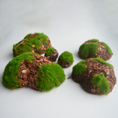 仿真假山绿苔栖木石摆件室内橱窗装 饰石块石头造景苔藓泡沫道具