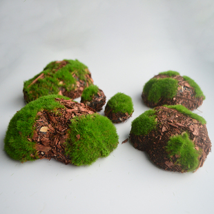 仿真假山绿苔栖木石摆件室内橱窗装饰石块石头造景苔藓泡沫道具