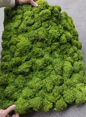 仿真苔藓草皮草坪人工四季通用人造青苔室内造景垫子草地布置地毯