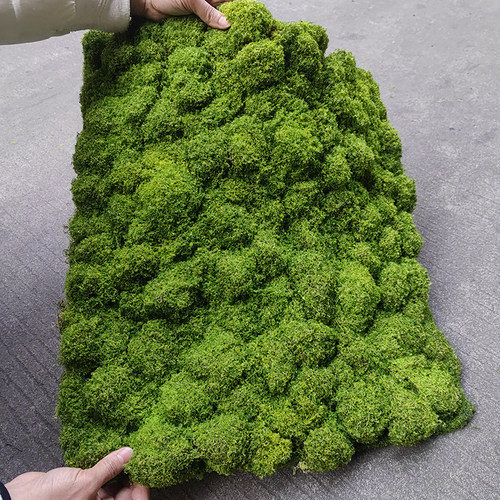仿真苔藓草皮草坪人工四季通用人造青苔室内造景垫子草地布置地毯